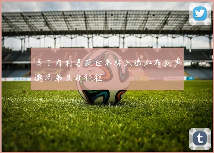马丁内利喜获世界杯入选加布发声邀兄弟共赴征程